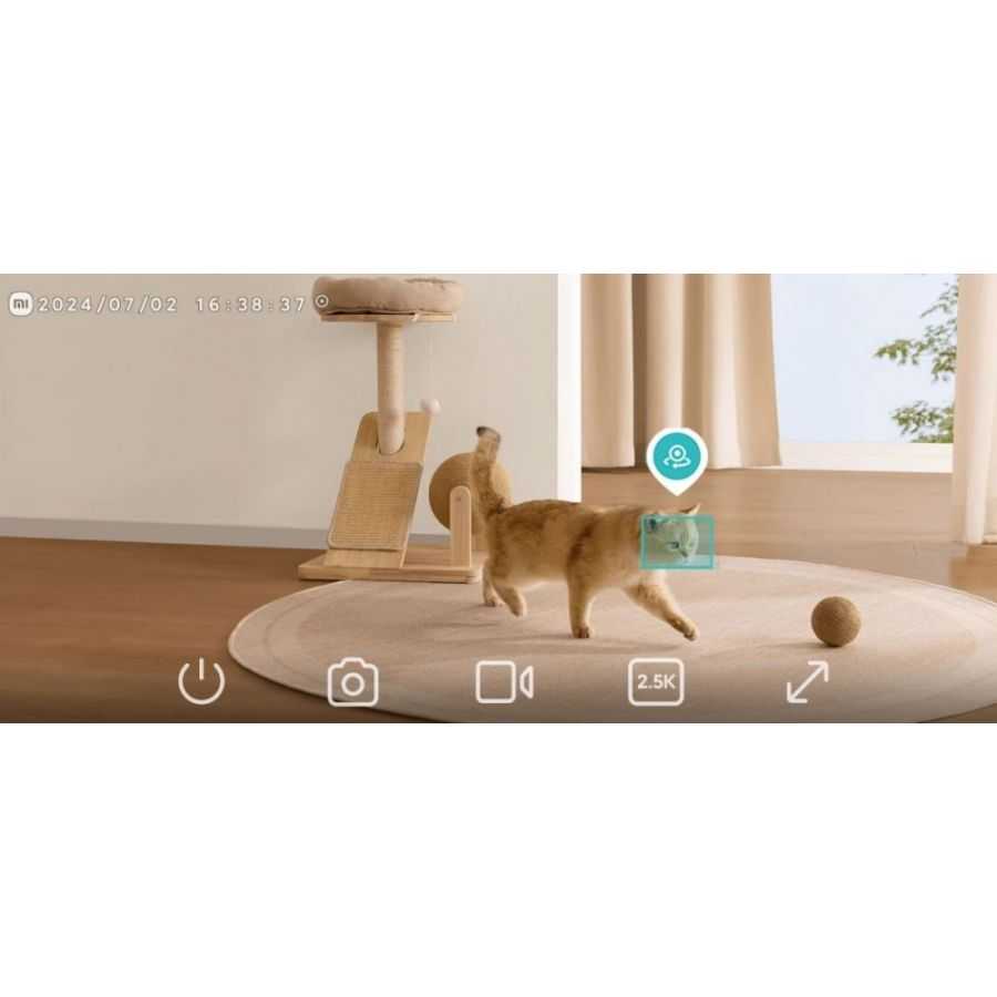 Capture cada momento en detalle con detección de movimiento inteligente y vídeo claro.