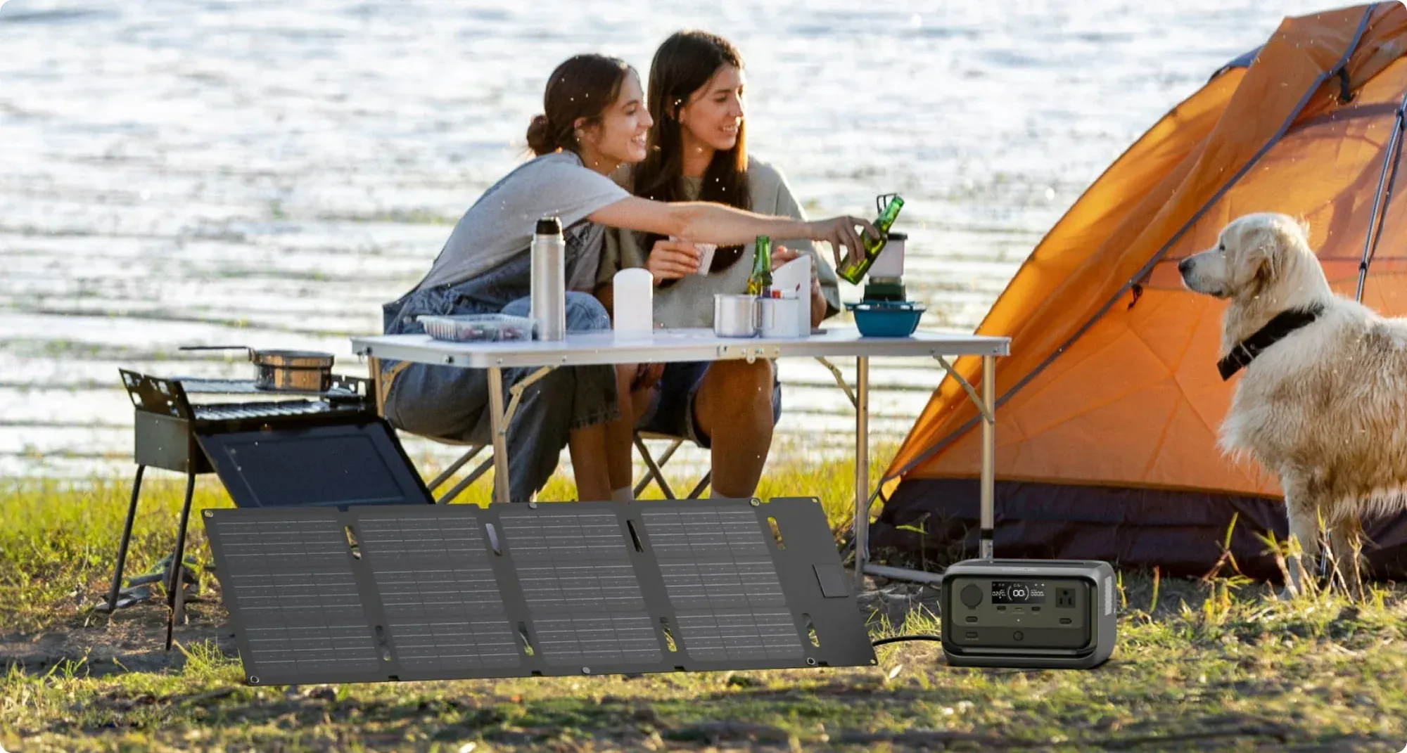 EcoFlow 60W Portable Solar Panels (Type-C)